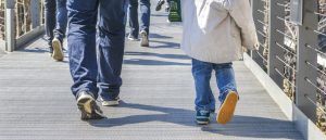 ALGRIP Main Image ALGRIP